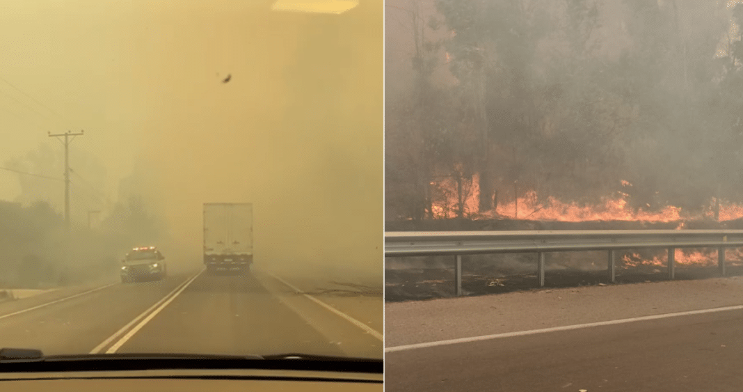 Alerta Roja en Quilpué: Bomberos y Conaf Combaten Incendio Forestal