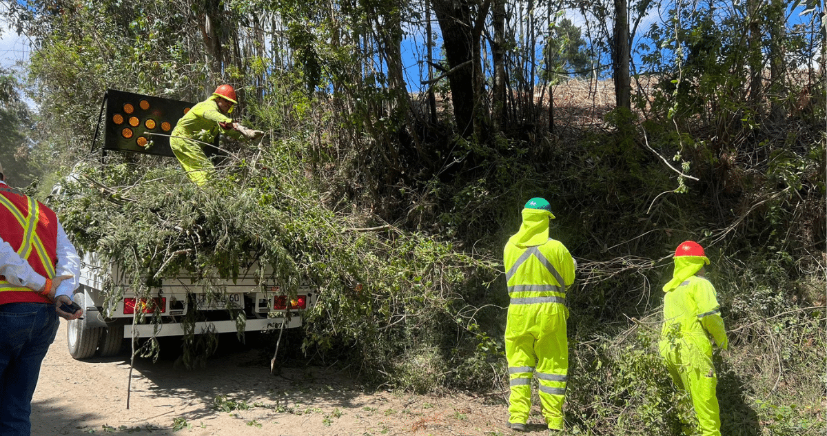 Bío Bío: Preparándose para Prevenir Incendios Forestales con 700 km de Cortafuegos