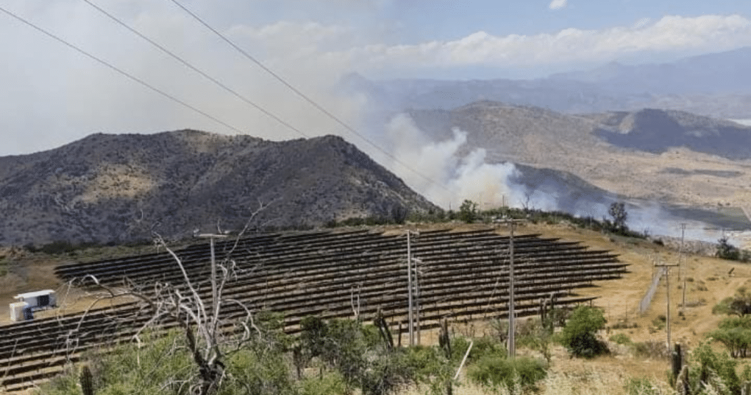 Devastador Incendio Forestal Arrasa 50 Hectáreas en Tiltil: Bomberos y Conaf Luchan Contra las Llamas