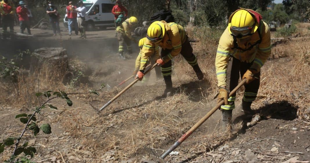 Estrategia Nacional de Cortafuegos: Protegiendo más de 3.700 km Contra los Incendios Forestales