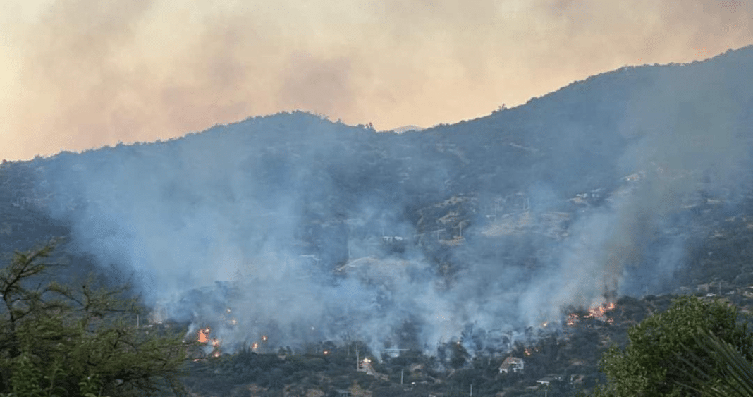 Evacuación Urgente en Hijuelas: Incendio Forestal Amenaza Parcelación Oasis La Campana