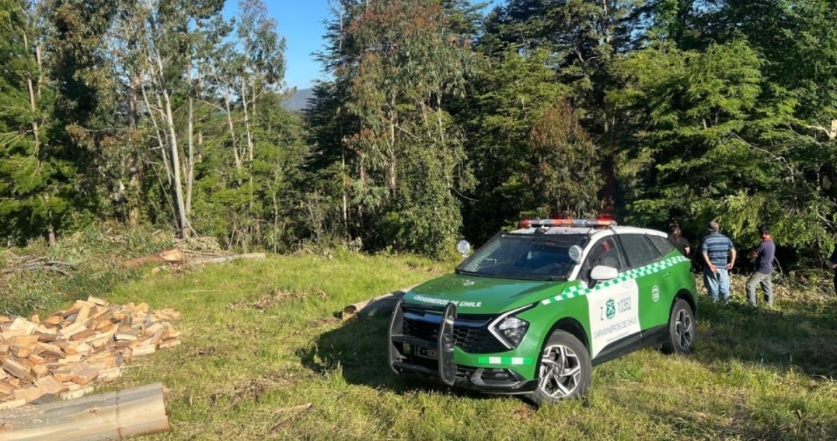 Trágico Accidente: Hombre Fallece Aplastado por Tractor en Paillaco