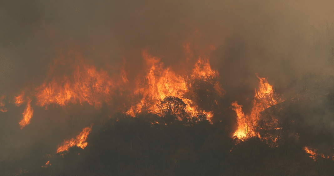 ¡Alerta Roja en Valparaíso, O'Higgins y Metropolitana! Estas Regiones Enfrentan el Mayor Riesgo de Incendios Forestales