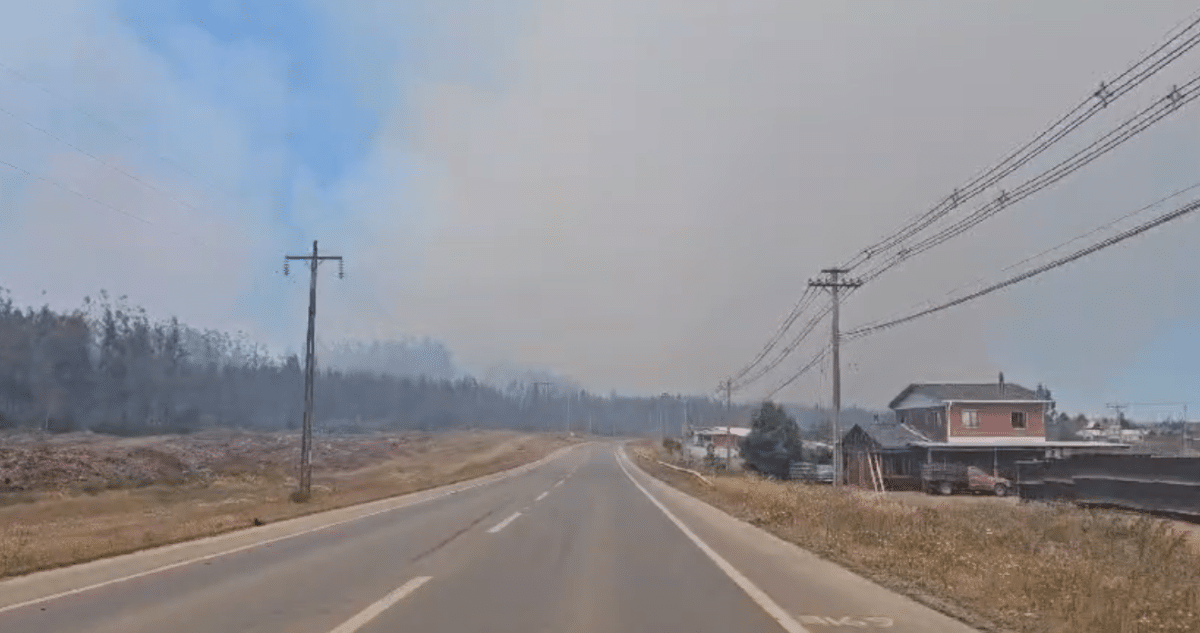 Alerta Preventiva por Riesgo de Incendios Forestales en Bío Bío