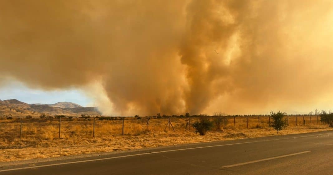 Alerta Roja en Colina y Tiltil: Incendio Forestal Amenaza a Comunidades