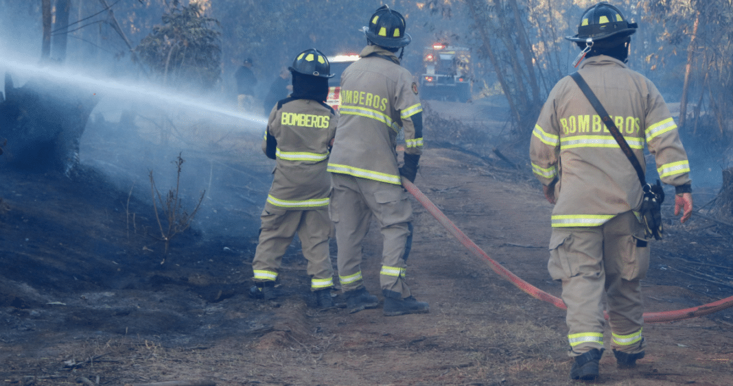 Arresto del Presunto Culpable del Devastador Incendio Forestal en Melipilla y Padre Hurtado