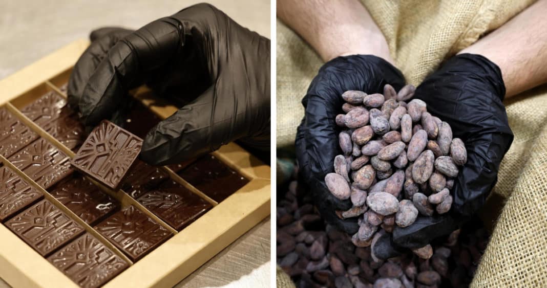 Cacao Amargo: Cómo los Precios Récord Amenazan la Dulzura de la Navidad