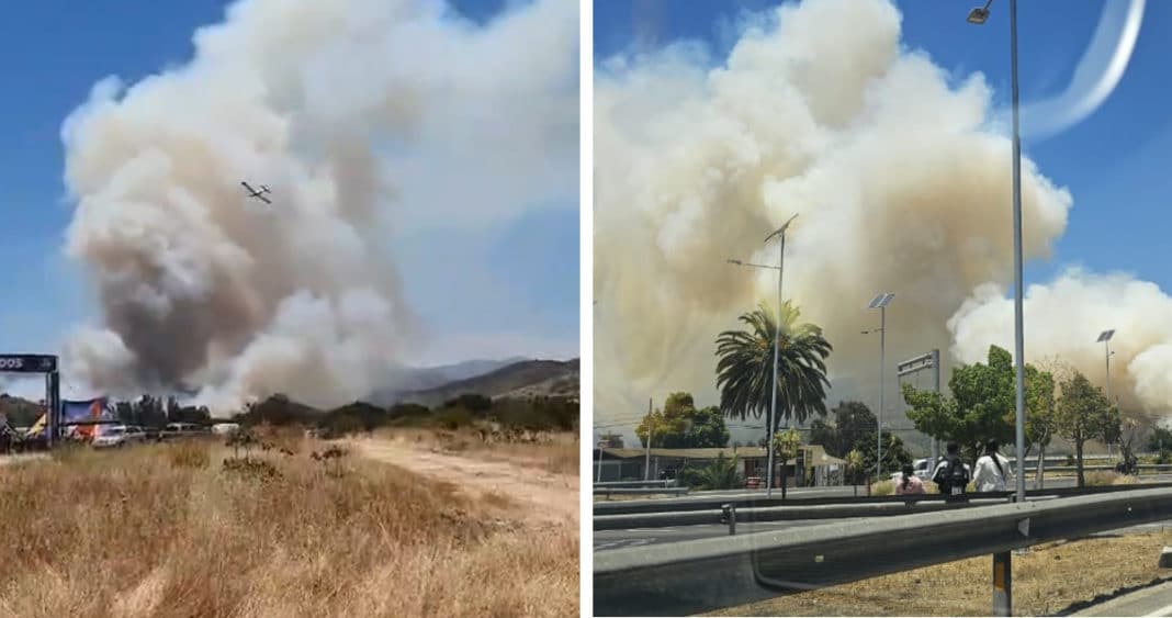 Combate Aéreo Contra Incendios Forestales: Evacuación Ordenada en Quillota y Esfuerzos en Cartagena