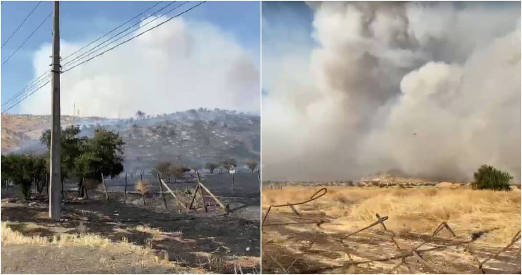 Combate Incansable Contra las Llamas: Más de 950 Hectáreas Consumidas en Colina y Tiltil