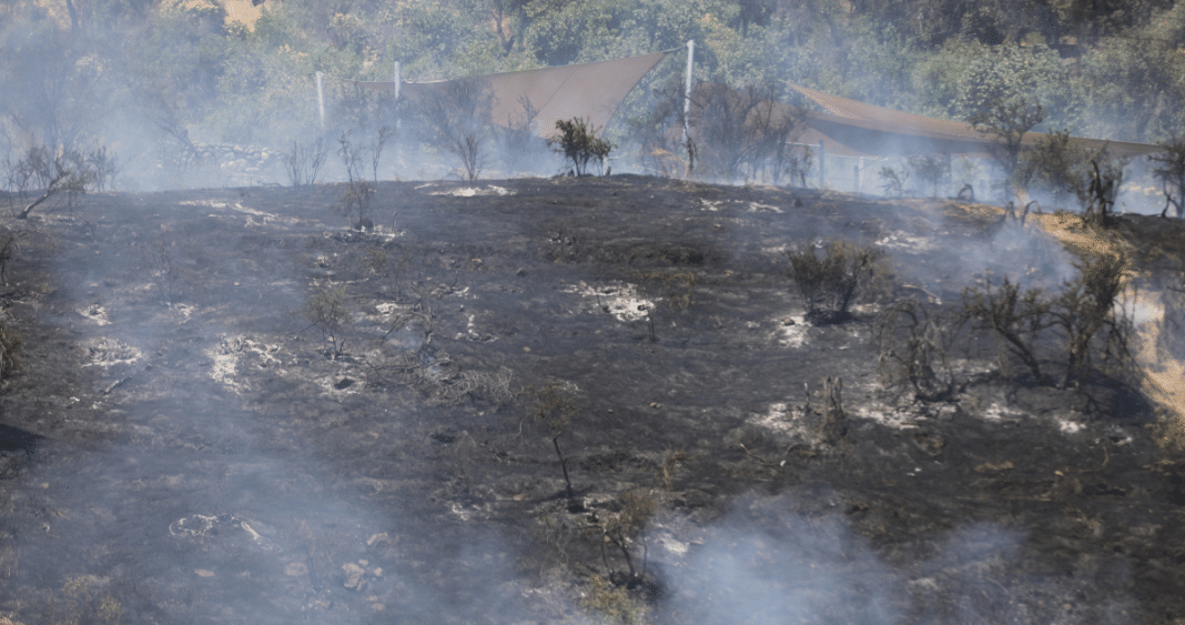 Conaf Prohíbe el Uso del Fuego en 12 Regiones para Prevenir Incendios Forestales