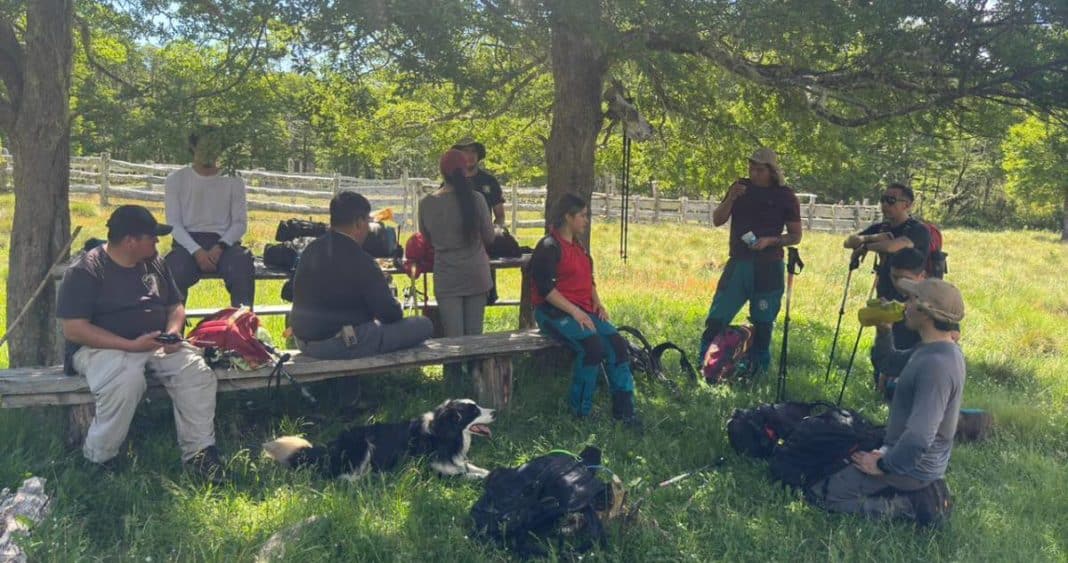 Desaparición Misteriosa en el Parque Nacional Villarrica: Búsqueda Intensiva por Joven Perdido