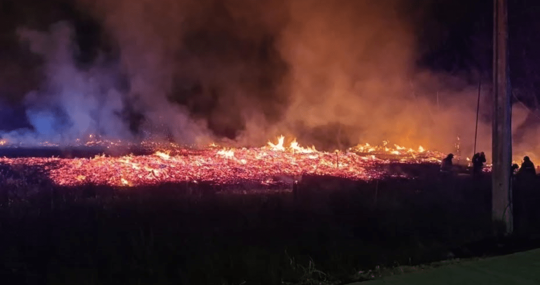 Devastador Incendio Cierra Crucial Ruta 5 Sur en Linares