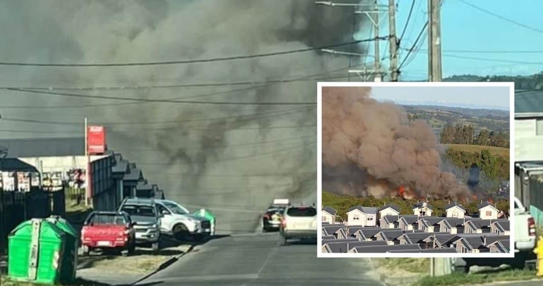 Heroica Lucha Contra las Llamas: Bomberos y Conaf Controlan Incendio Forestal en Castro