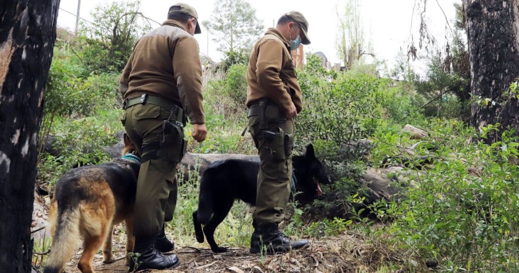 La Deuda Pendiente: Implementación Incompleta de la Ley de Personas Extraviadas