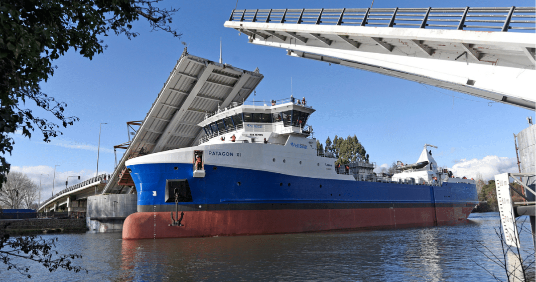 Puente Cau Cau: Ampliando Horizontes para el Desarrollo Portuario de Valdivia