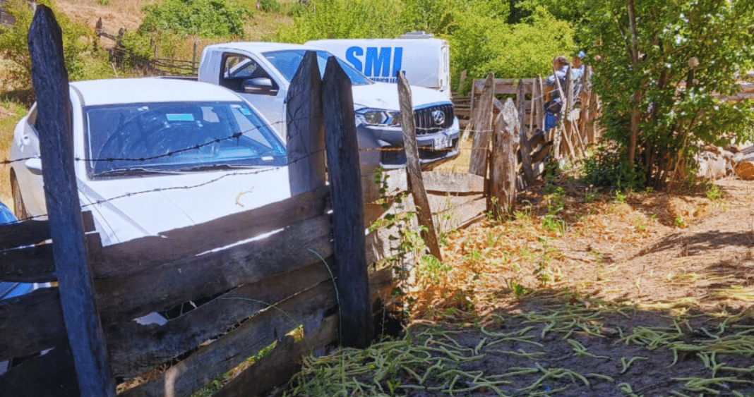 Trágica Fatalidad: Agricultor Pierde la Vida en Accidente con Máquina Cortadora de Pasto