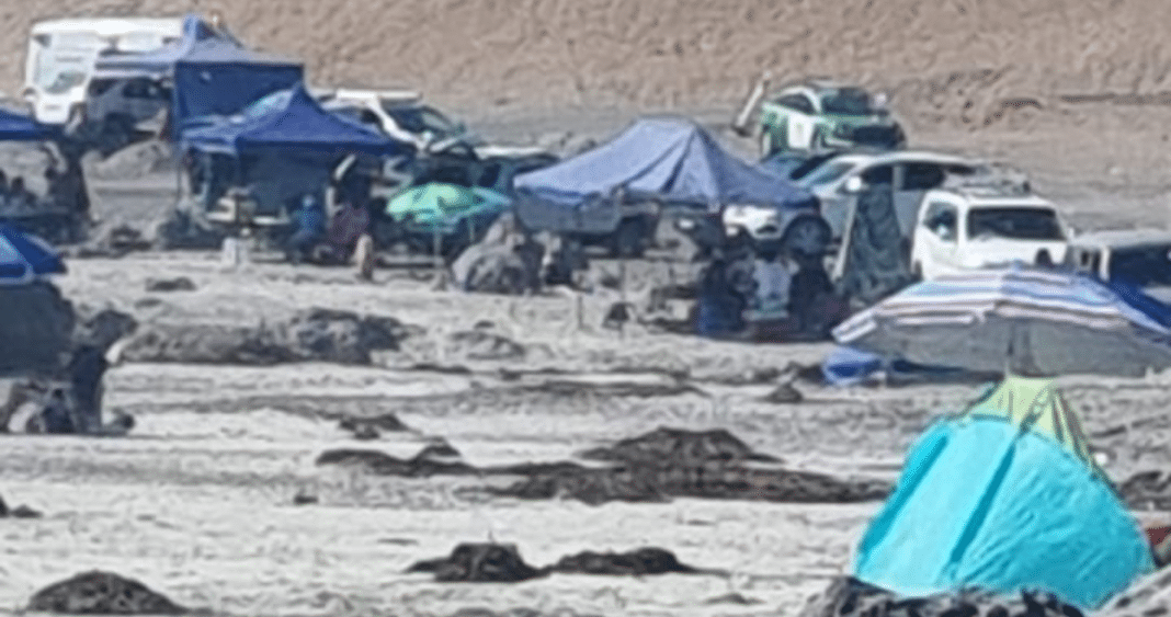 Trágica Muerte por Ahogamiento en Playa Lobitos de Iquique