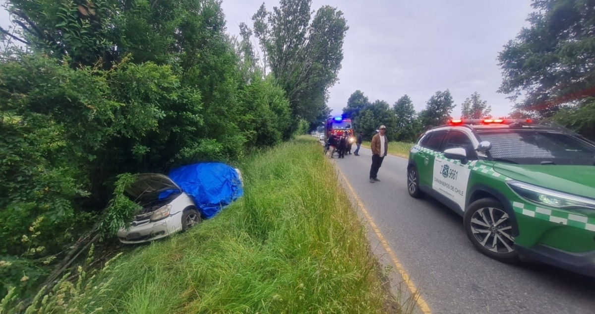 Trágico Accidente en Ruta de Los Lagos: Adulto Mayor Fallece Tras Impacto Contra Árbol