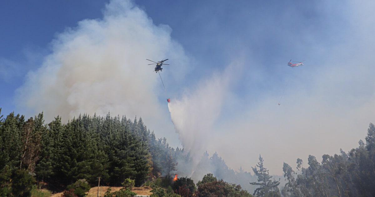 Alerta Roja: Más de 80 Incendios Forestales Devastan el País en 24 Horas