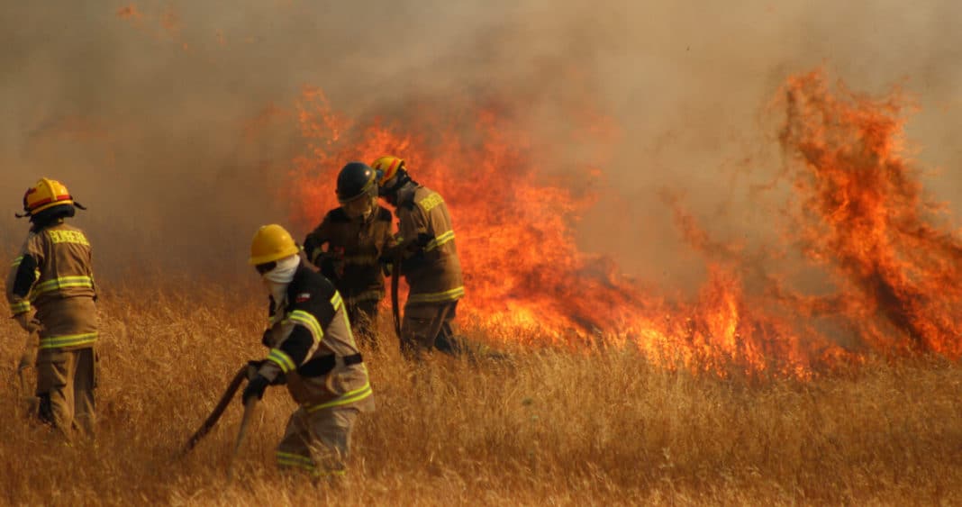 Alerta Roja en Lampa: Combate Intenso Contra Incendio Forestal Amenazante