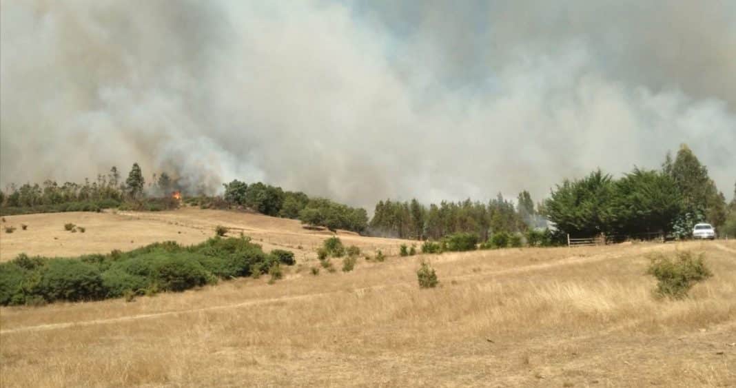 Alerta de Evacuación por Incendio Forestal Amenazante en Cholchol