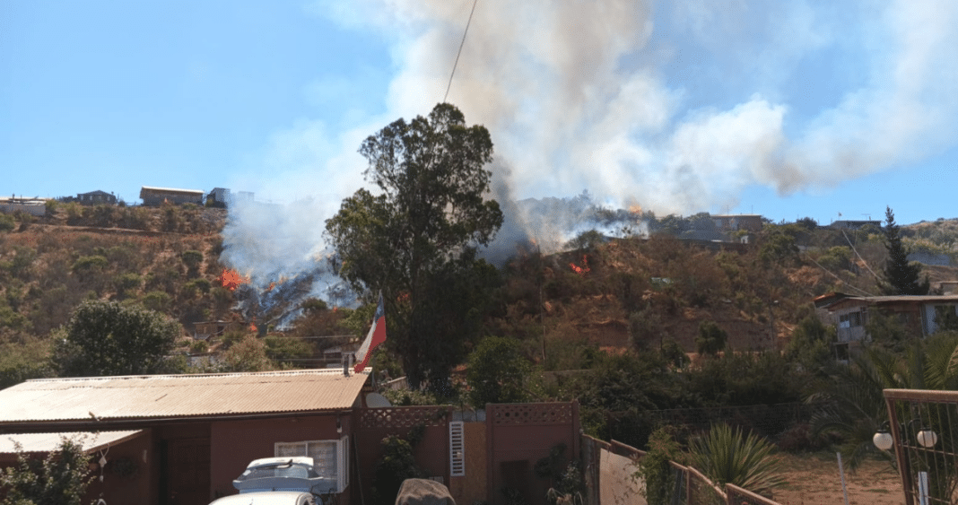 Alerta de Evacuación por Incendio Forestal en Villa Alemana