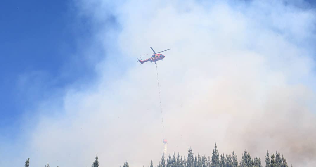 Alerta en Bío Bío: Incendios Forestales Intencionales Ponen en Riesgo a la Comunidad