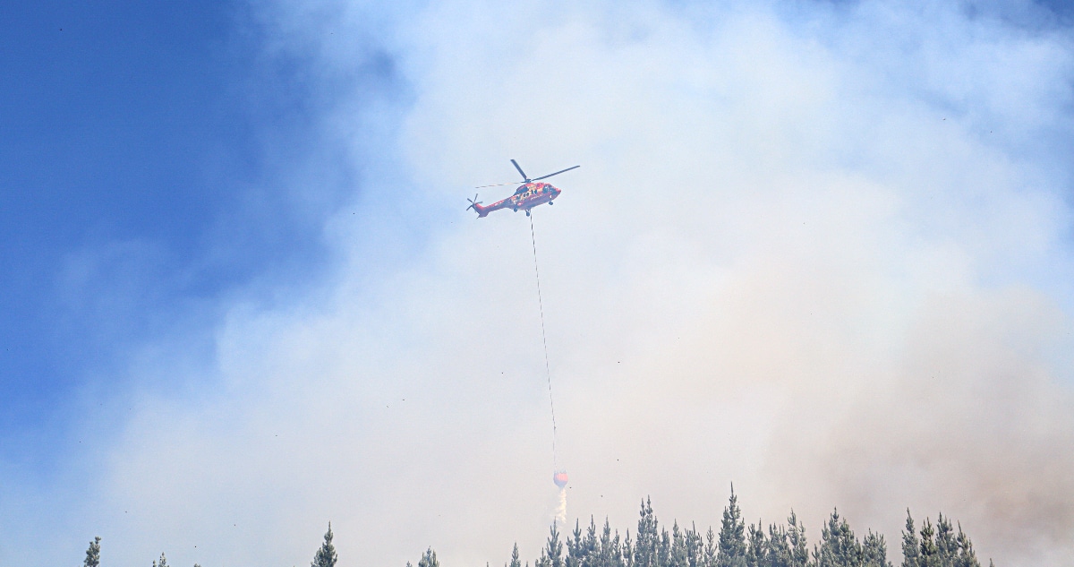 Alerta en Bío Bío: Incendios Forestales Intencionales Ponen en Riesgo a la Comunidad