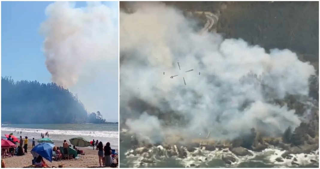 Combate Intenso Contra Incendio Forestal en Colcura, Lota: Cierre de Ruta 160 Sur