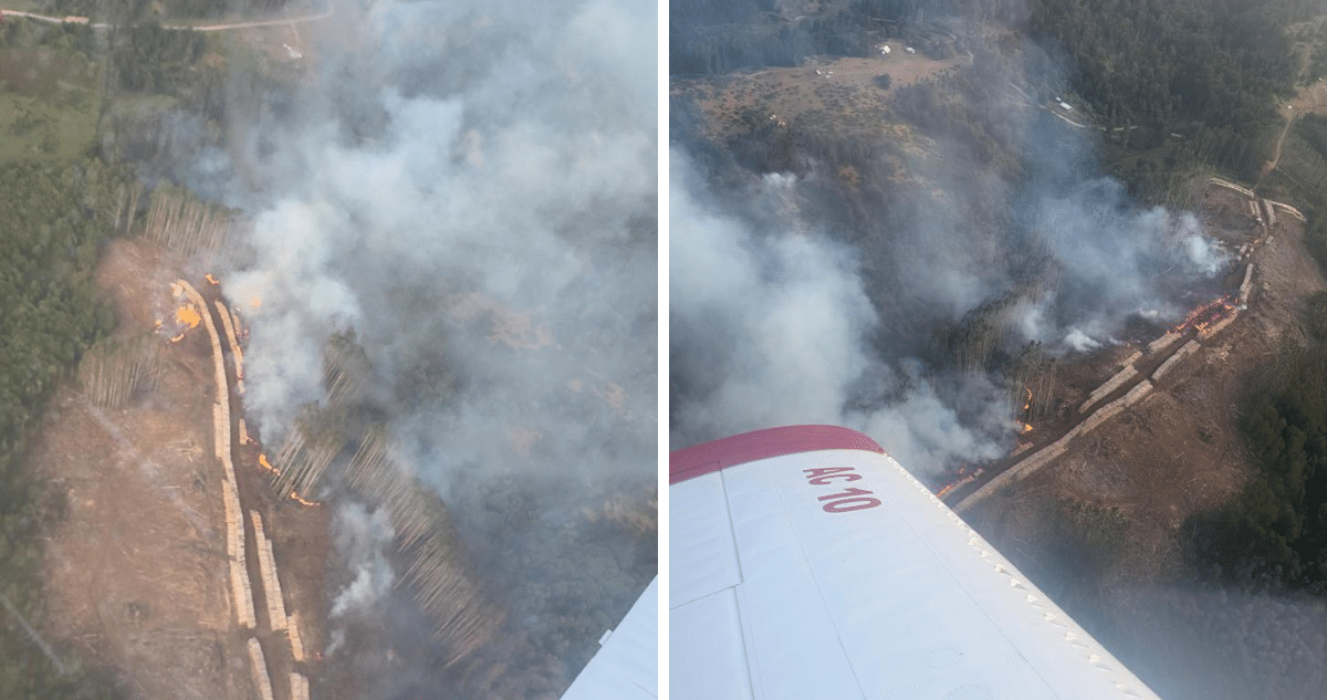 Combate Intenso Contra Incendios Forestales en San Juan de la Costa: Esfuerzos Coordinados para Proteger el Bosque Nativo