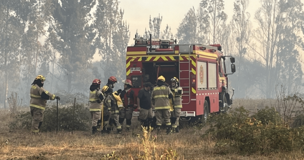 Devastador Incendio Forestal Azota Cholchol: 4 Casas Destruidas y 250 Hectáreas Arrasadas