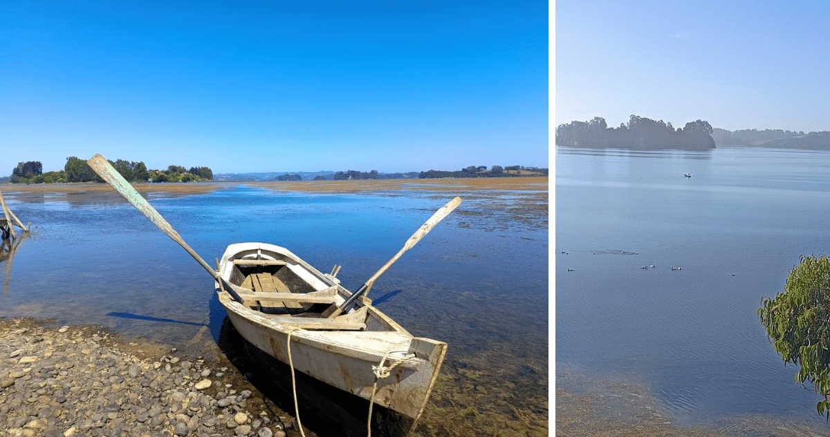 Familias Aisladas en Islas del Lago Budi Enfrentan Escasez de Agua Potable