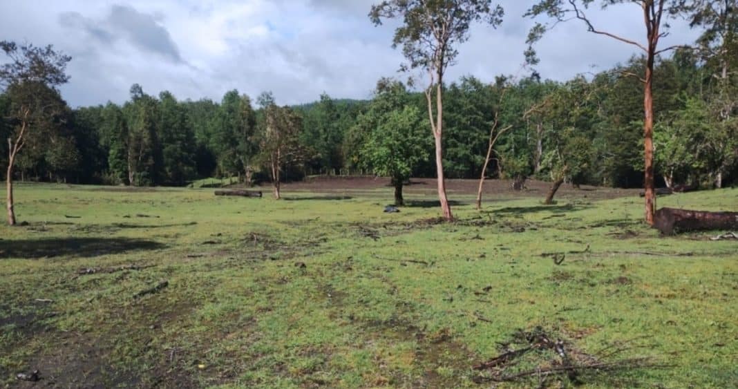 Honrando las Raíces: El Desafío de Habilitar el Cementerio Indígena de Rupumeica Alto en Lago Ranco