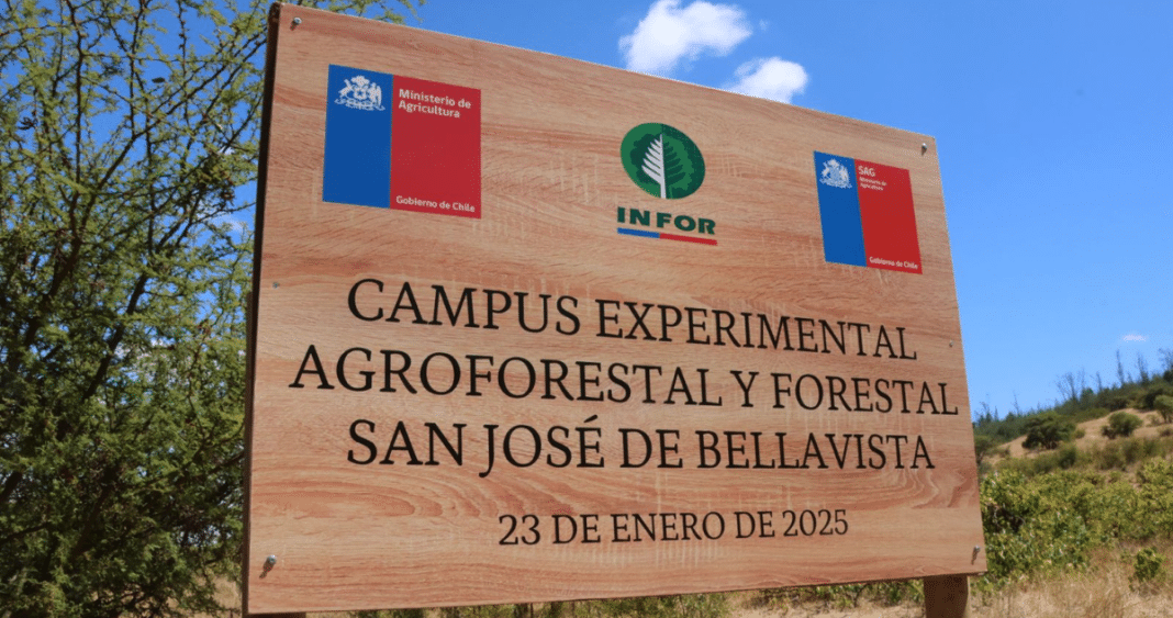 Impulso a la Agroforestería: Inauguran Innovador Centro Experimental en Ñuble