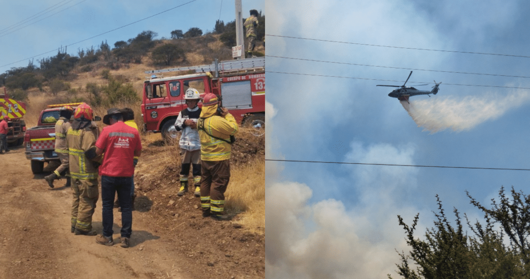 Incendio Forestal en Talagante: Rápida Respuesta Salva Viviendas Cercanas