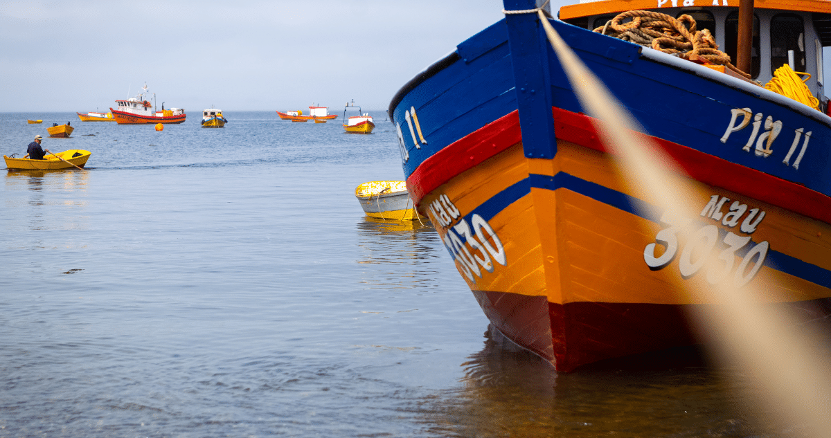 Ley de Fraccionamiento de la Pesca: Equilibrando Intereses en la Industria Pesquera