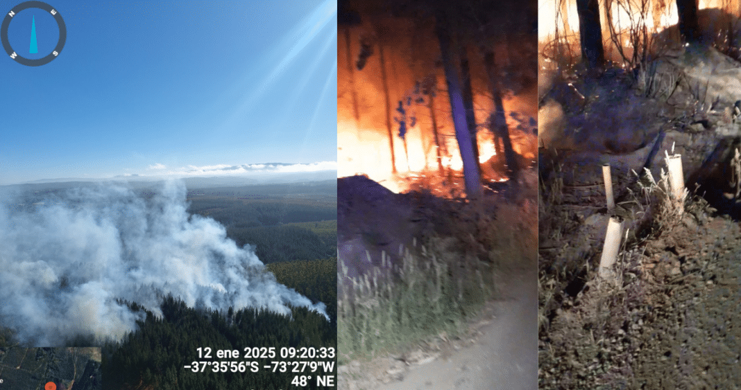 Ola de Incendios Intencionales Azota Los Álamos: Autoridades Intensifican Esfuerzos para Detener a los Responsables