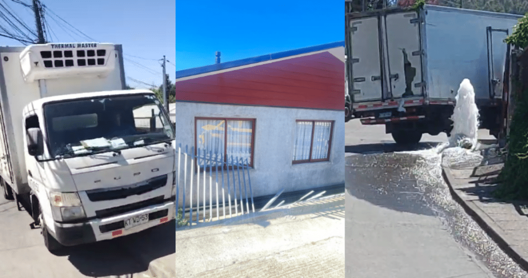 Pánico en las calles: Conductor de camión descontrolado siembra el caos en Concepción