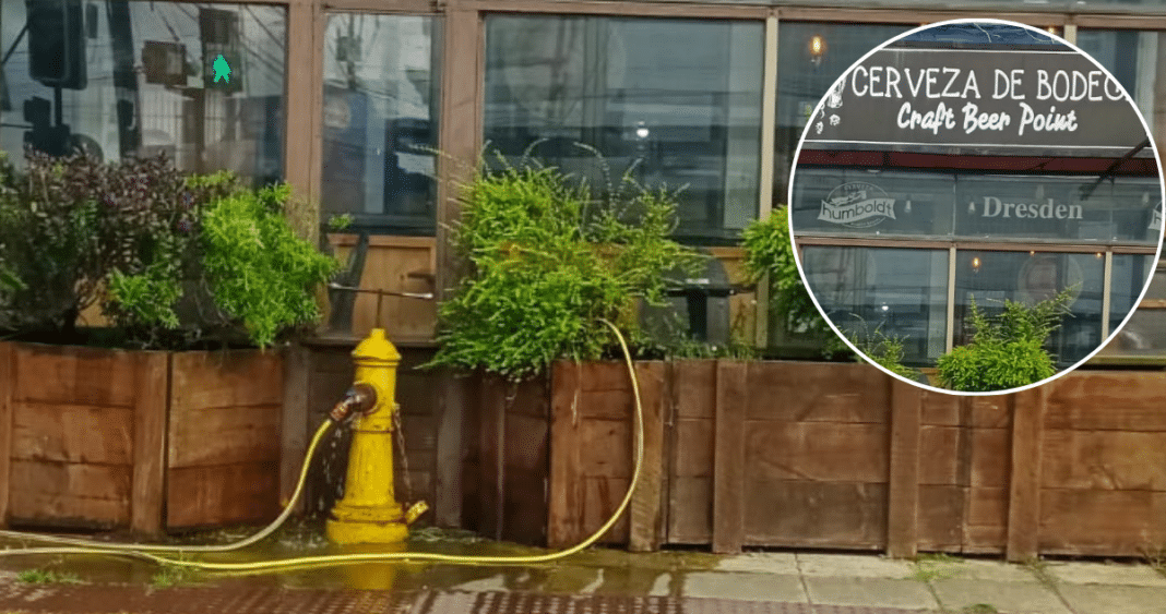 Restaurante Acusado de Robar Agua del Grifo para Regar Plantas en Puerto Montt