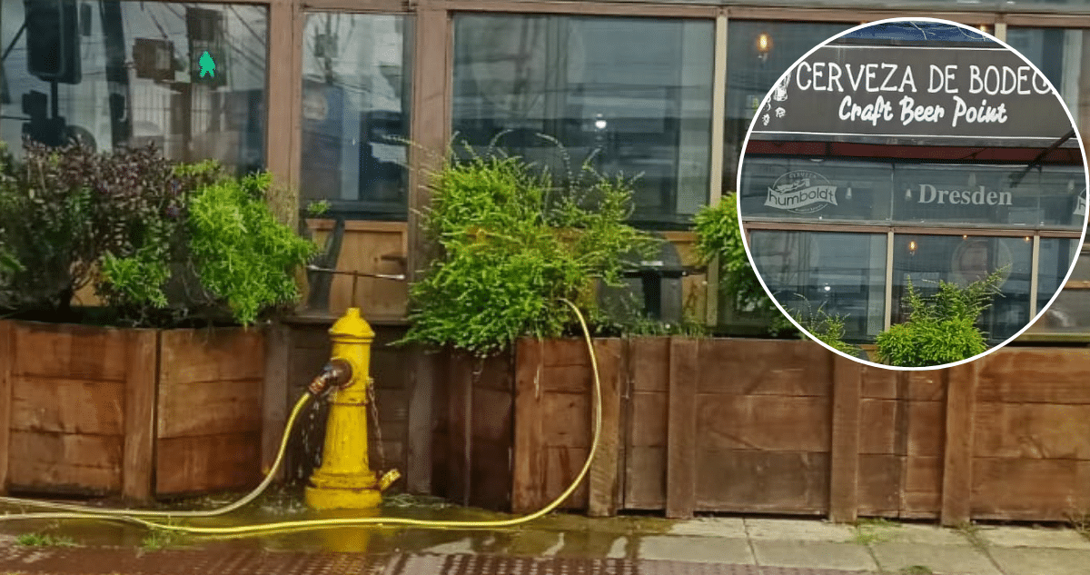 Restaurante Acusado de Robar Agua del Grifo para Regar Plantas en Puerto Montt