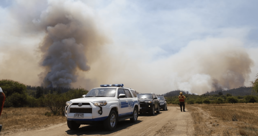 Trágico Incendio Forestal en Los Sauces: Investigación en Curso y Lecciones Aprendidas