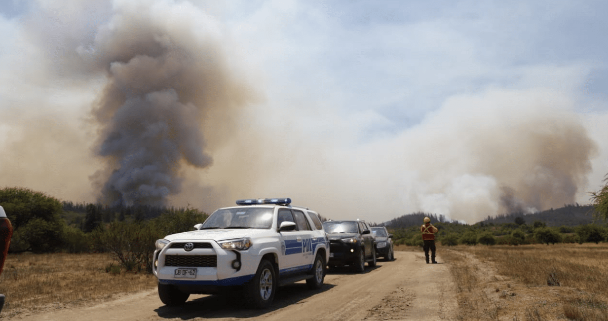 Trágico Incendio Forestal en Los Sauces: Investigación en Curso y Lecciones Aprendidas