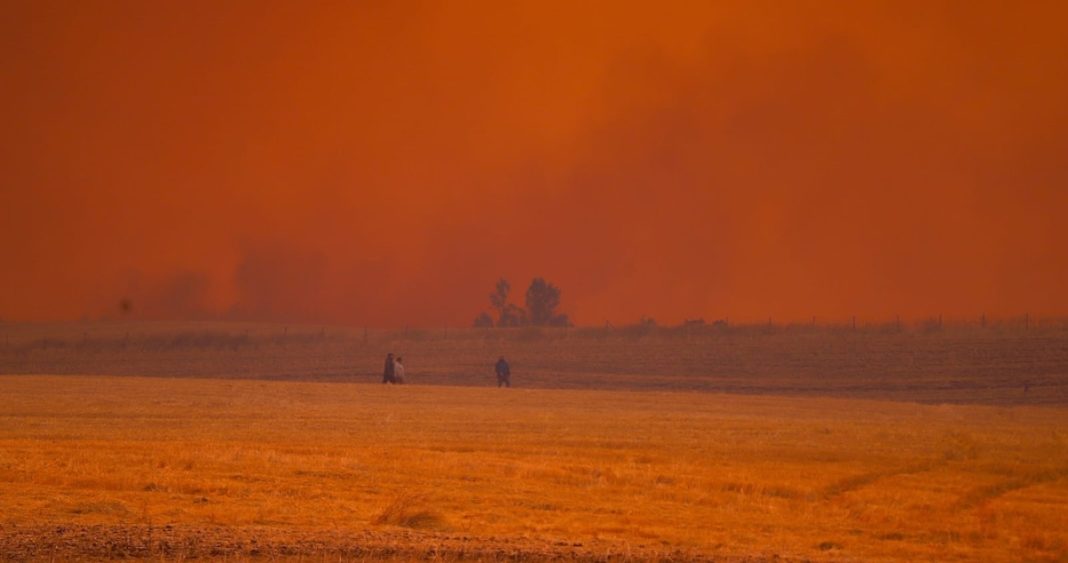 31 Familias Afectadas y 16 Casas Destruidas por Devastadores Incendios Forestales en La Araucanía