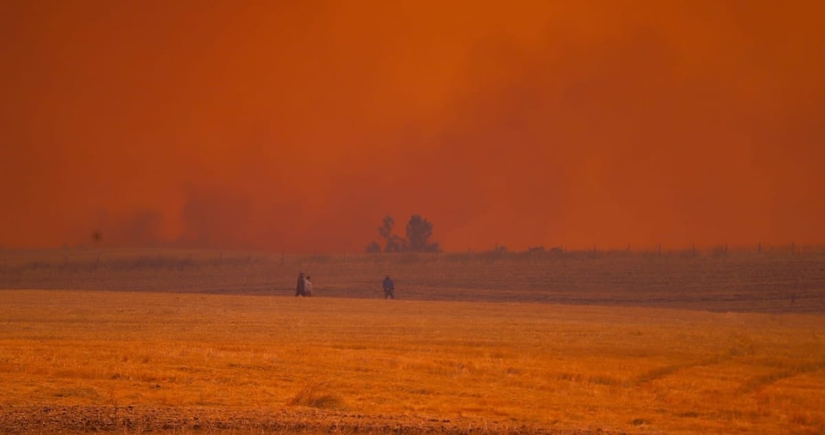 31 Familias Afectadas y 16 Casas Destruidas por Devastadores Incendios Forestales en La Araucanía