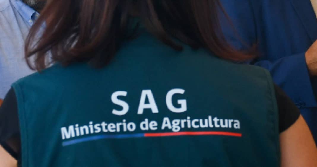 Agricultores del Sur Cuestionan Nuevas Regulaciones del SAG sobre Plaguicidas