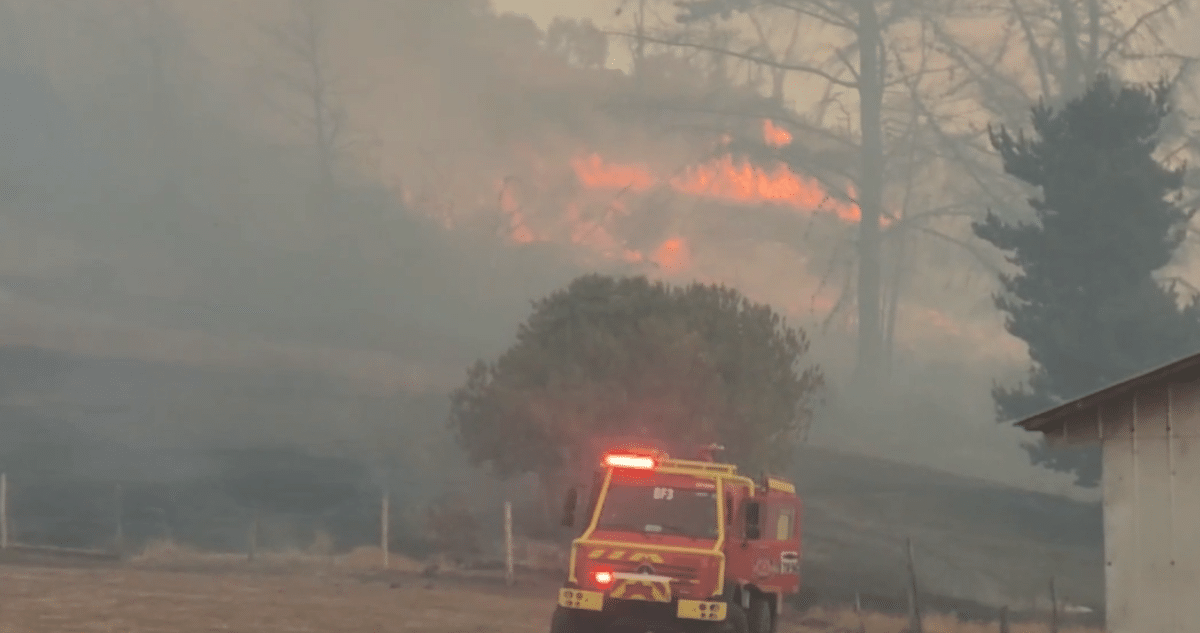 Alerta Crítica: Incendio Forestal Devasta Más de 200 Hectáreas en Carahue