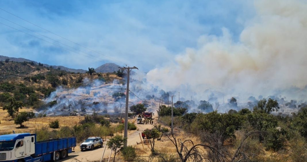 Alerta Roja en Hijuelas: Evacuación Urgente por Incendio Forestal Amenazante