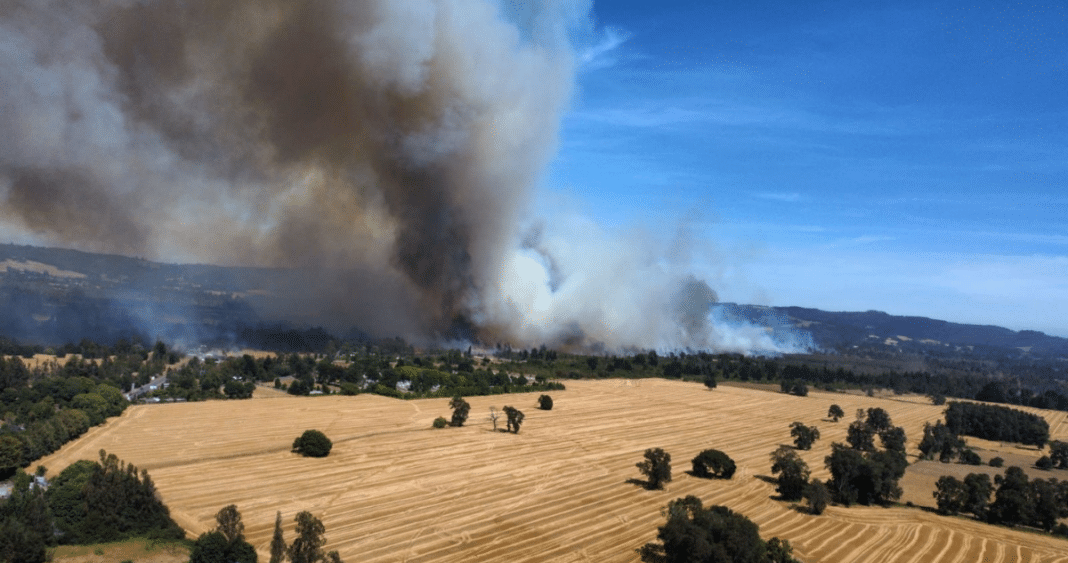 Alerta Roja en Pitrufquén: Senapred Ordena Evacuación por Reactivación de Incendio Forestal