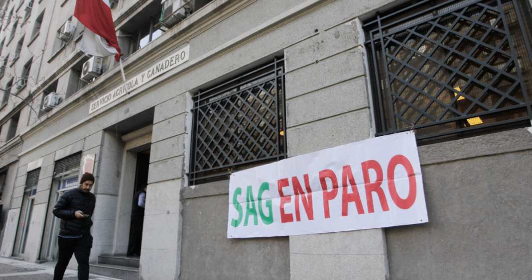 Alerta Roja en el Sector Agrícola: Funcionarios del SAG Anuncian Paro Nacional por Recorte Presupuestario de  Mil Millones