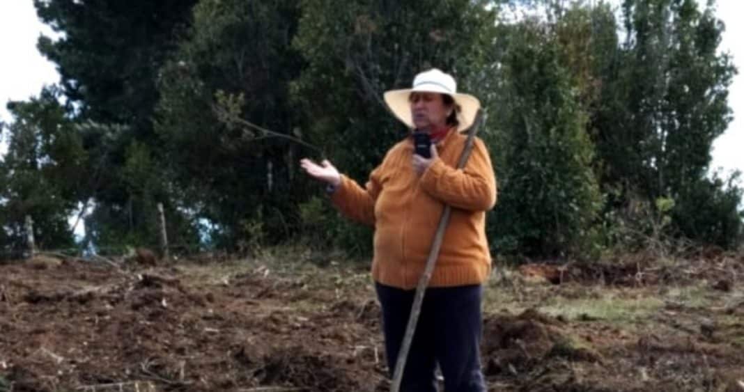 Anciana Mapuche Encarcelada por Robo de Madera: Una Lucha por la Justicia y la Salud